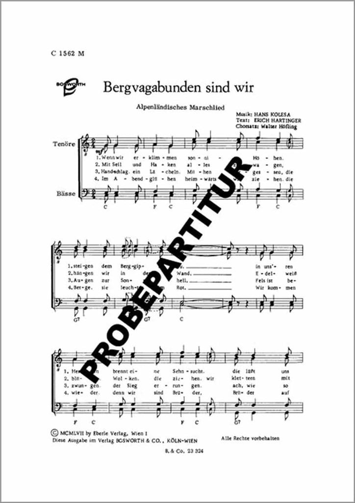 Bergvagabunden sind wir